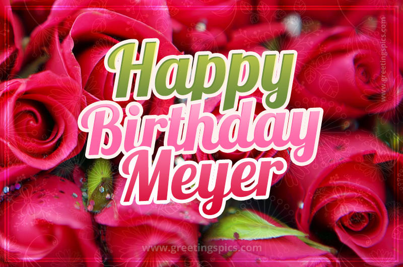 Happy Birthday Meyer beautiful Image with red roses