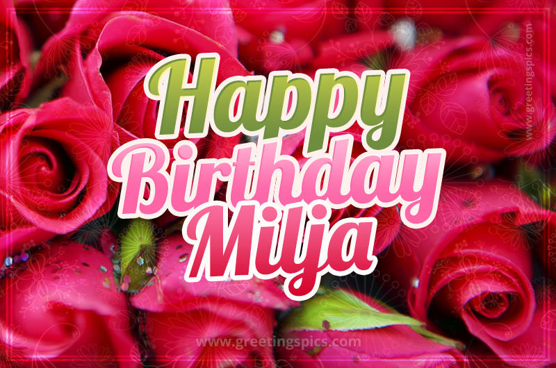 Happy Birthday Milja beautiful Image with red roses