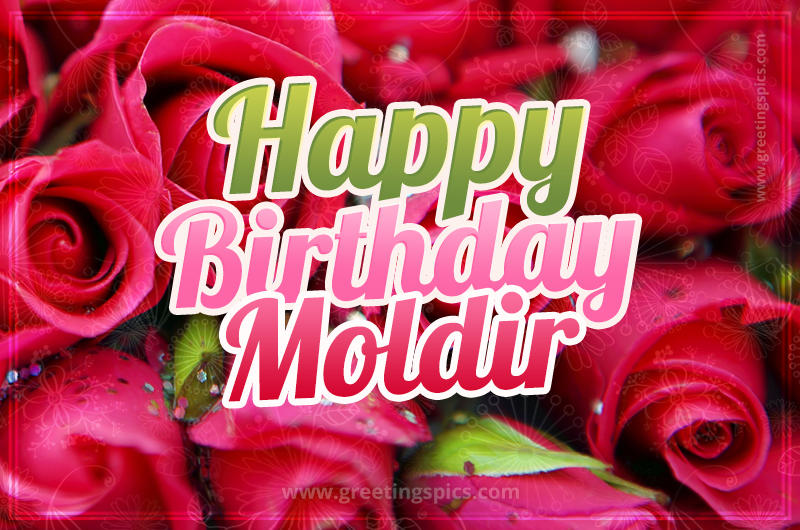 Happy Birthday Moldir beautiful Image with red roses