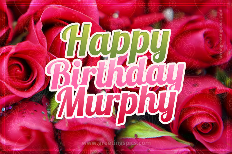 Happy Birthday Murphy beautiful Image with red roses