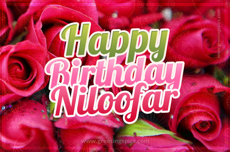 Happy Birthday Niloofar beautiful Image with red roses