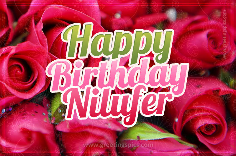 Happy Birthday Nilufer beautiful Image with red roses