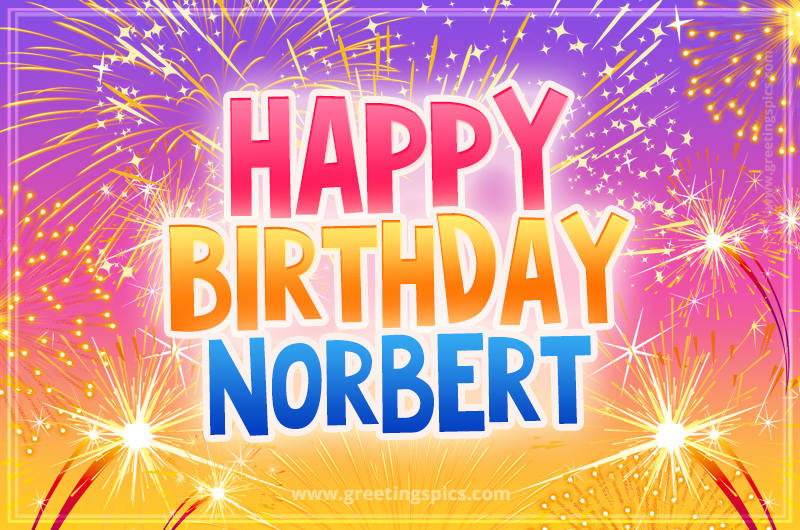 Happy Birthday Norbert Picture with fireworks