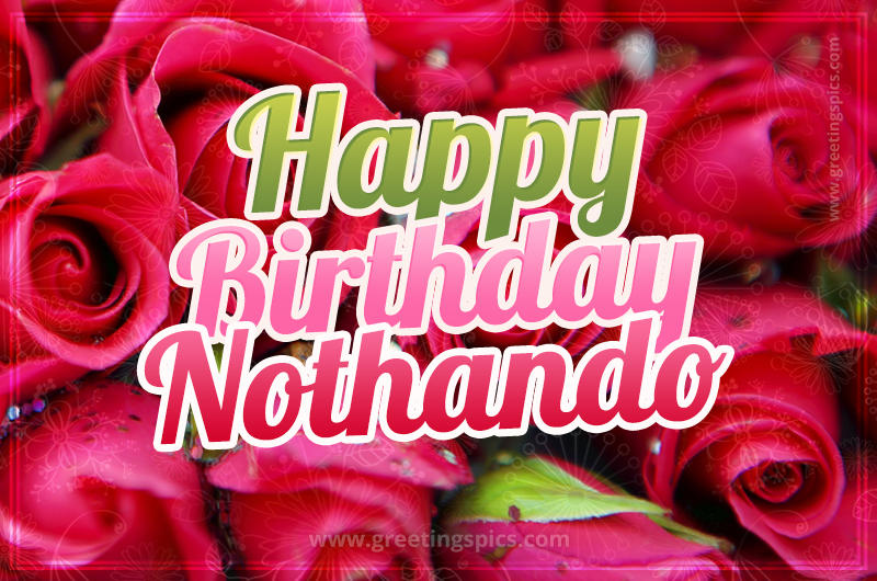 Happy Birthday Nothando beautiful Image with red roses