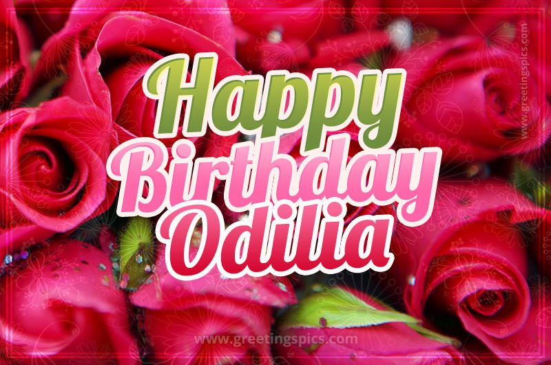 Happy Birthday Odilia beautiful Image with red roses