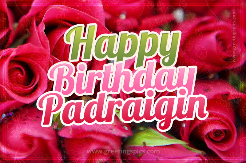 Happy Birthday Padraigin beautiful Image with red roses