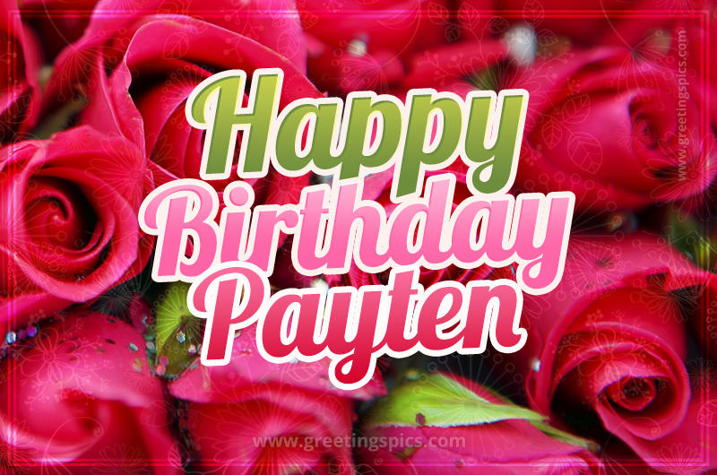 Happy Birthday Payten beautiful Image with red roses