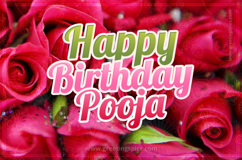 Happy Birthday Pooja beautiful Image with red roses