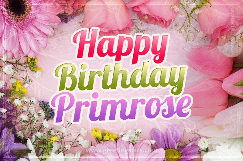 Happy Birthday Primrose Picture with beautiful flowers