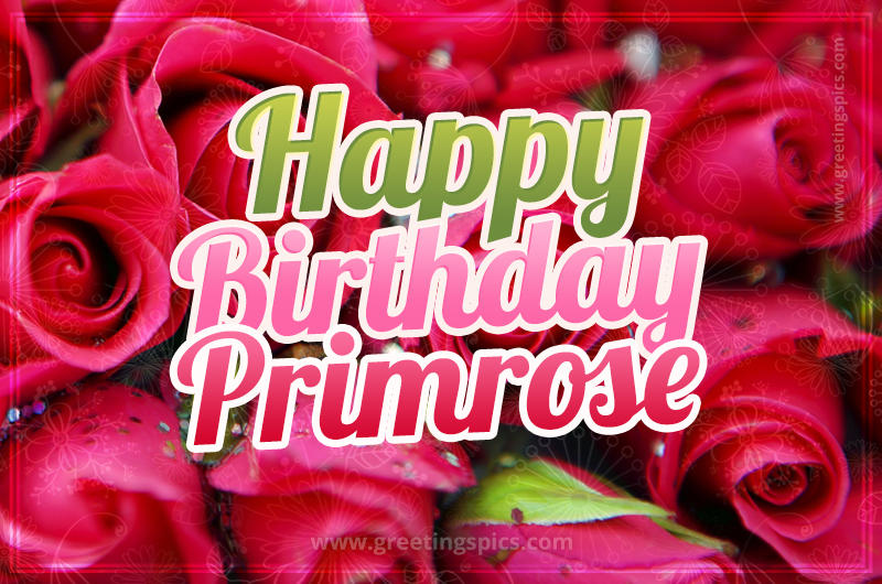 Happy Birthday Primrose beautiful Image with red roses