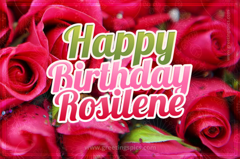 Happy Birthday Rosilene beautiful Image with red roses