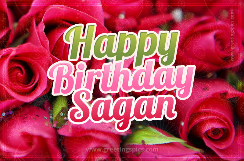 Happy Birthday Sagan beautiful Image with red roses