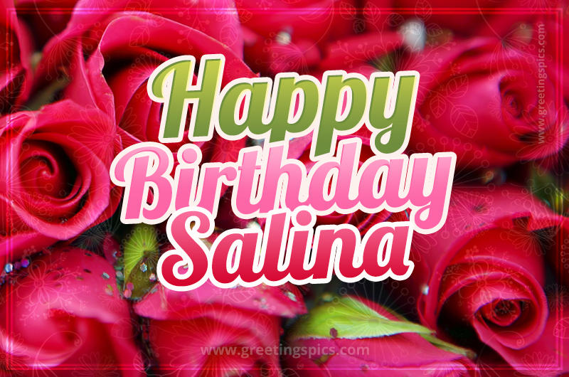 Happy Birthday Salina beautiful Image with red roses