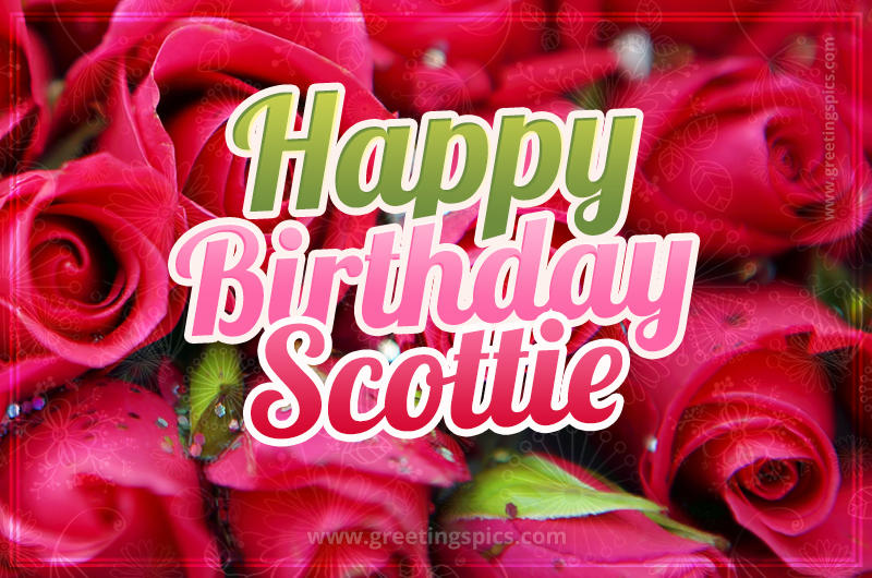 Happy Birthday Scottie beautiful Image with red roses