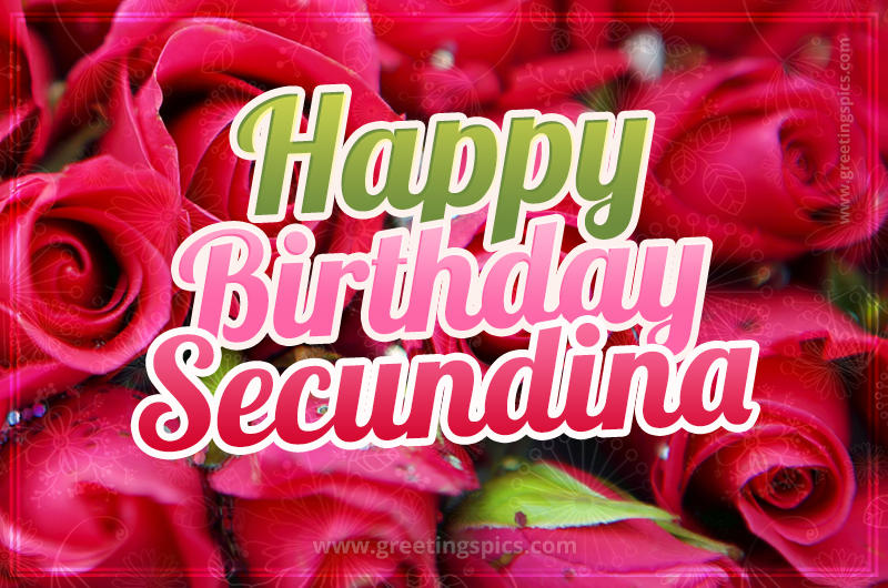 Happy Birthday Secundina beautiful Image with red roses