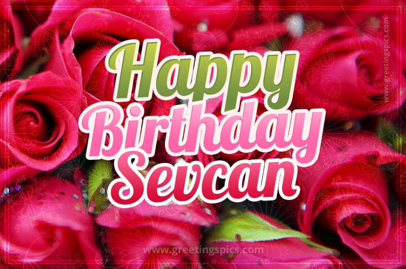 Happy Birthday Sevcan beautiful Image with red roses