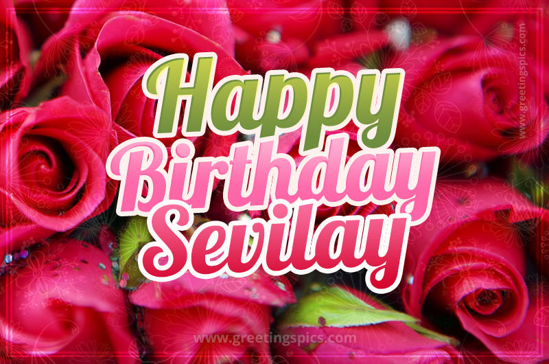 Happy Birthday Sevilay beautiful Image with red roses