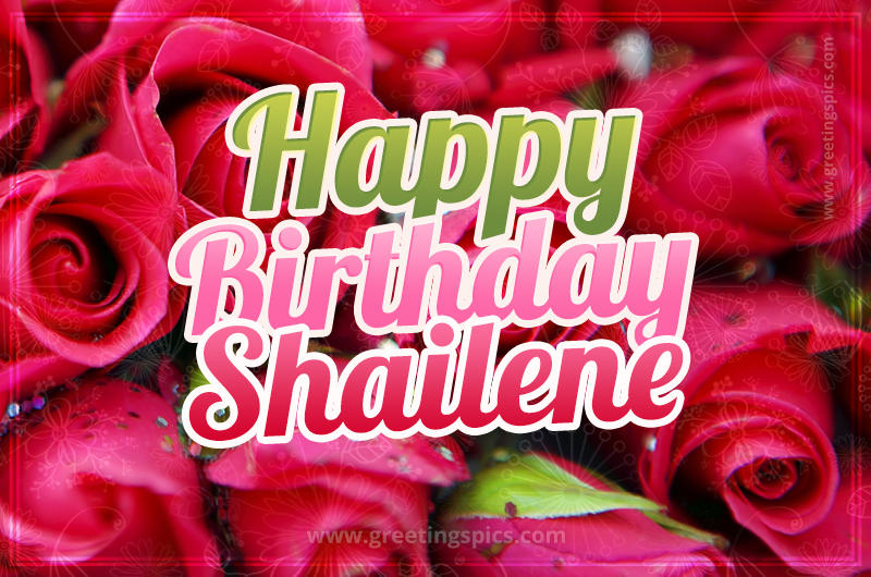 Happy Birthday Shailene beautiful Image with red roses