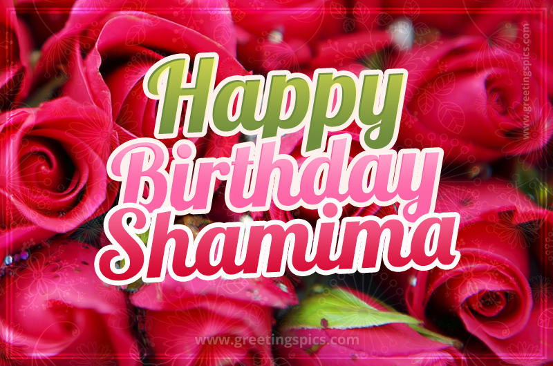 Happy Birthday Shamima beautiful Image with red roses