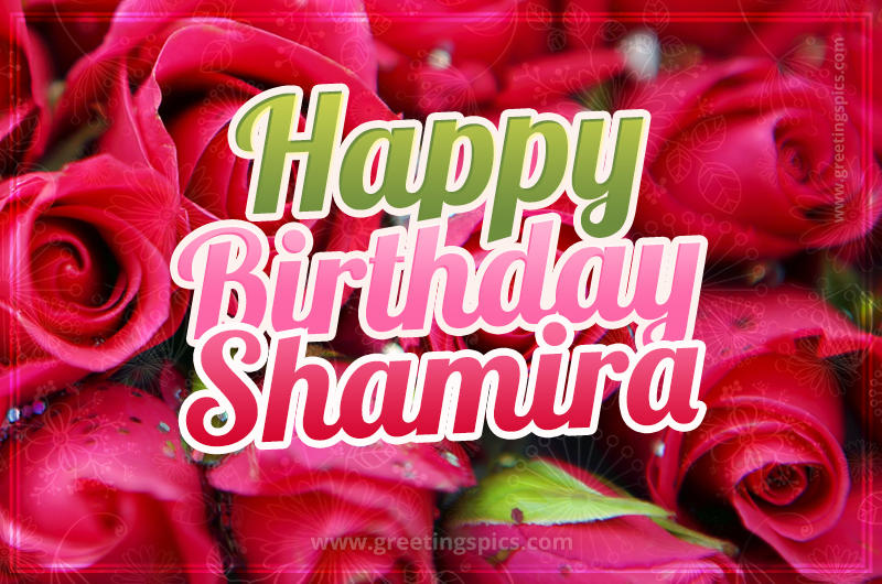 Happy Birthday Shamira beautiful Image with red roses