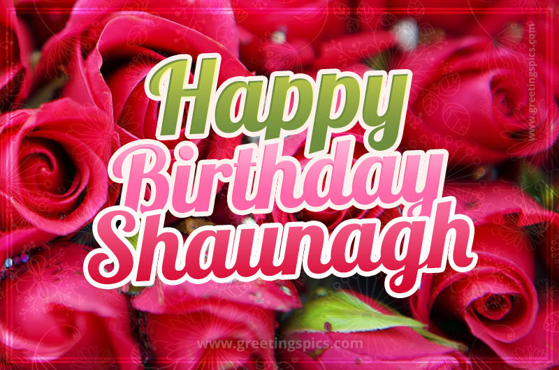 Happy Birthday Shaunagh beautiful Image with red roses