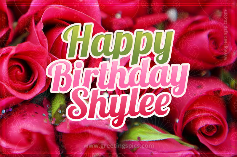 Happy Birthday Shylee beautiful Image with red roses