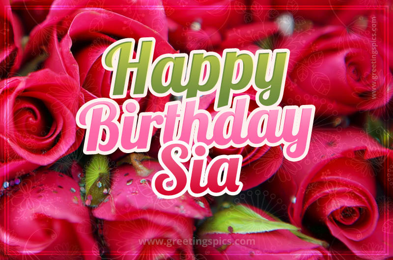 Happy Birthday Sia beautiful Image with red roses