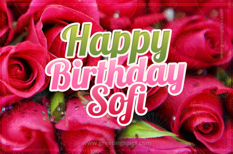 Happy Birthday Sofi beautiful Image with red roses