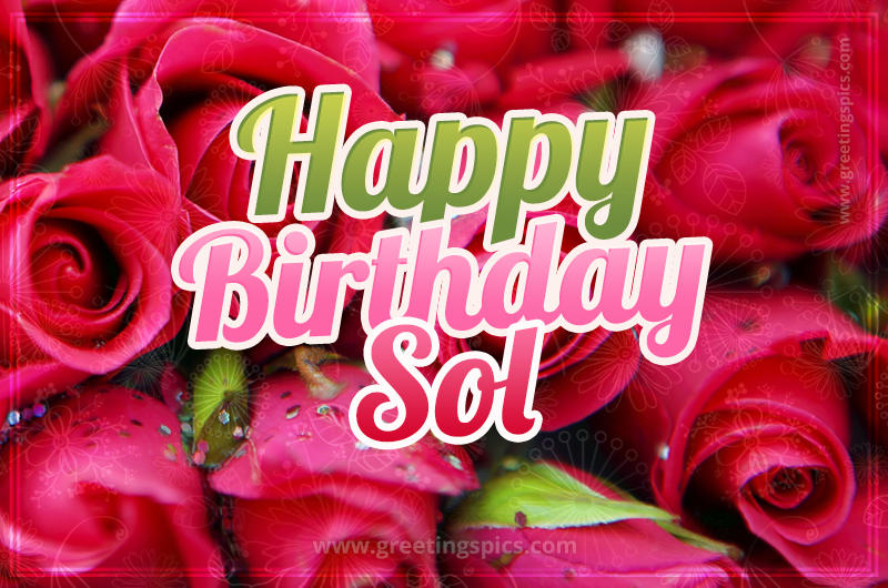 Happy Birthday Sol beautiful Image with red roses