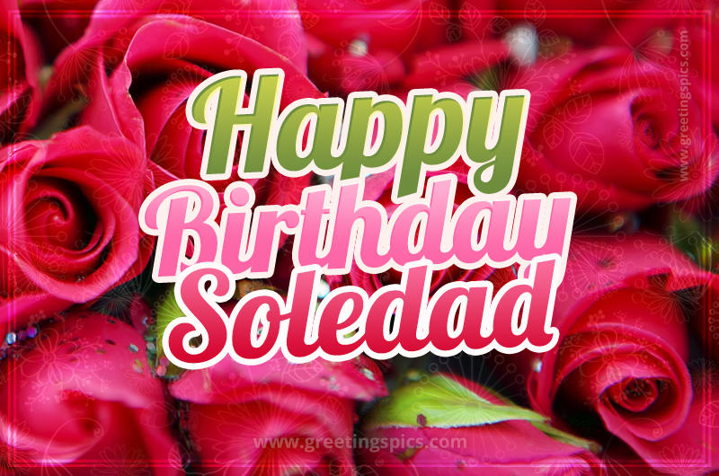 Happy Birthday Soledad beautiful Image with red roses