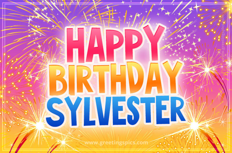 Happy Birthday Sylvester Picture with fireworks