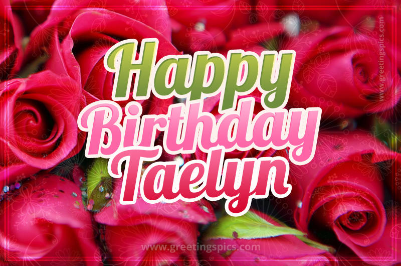 Happy Birthday Taelyn beautiful Image with red roses