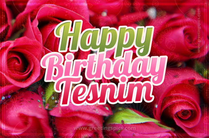 Happy Birthday Tesnim beautiful Image with red roses