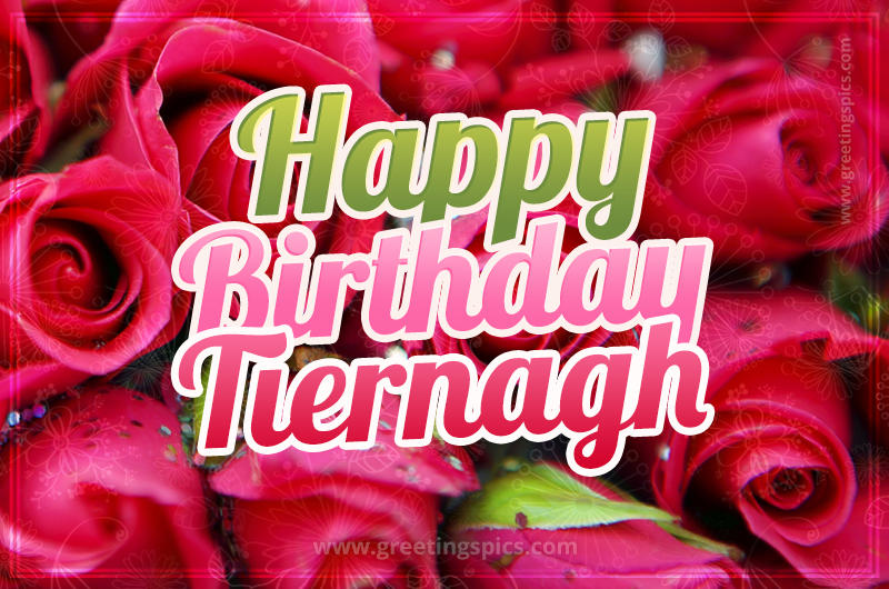 Happy Birthday Tiernagh beautiful Image with red roses