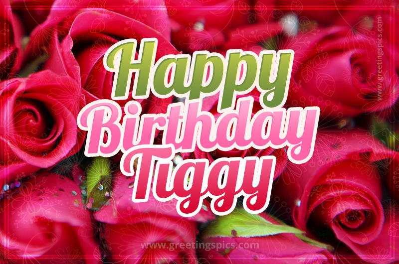 Happy Birthday Tiggy beautiful Image with red roses