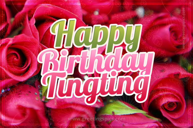 Happy Birthday Tingting beautiful Image with red roses