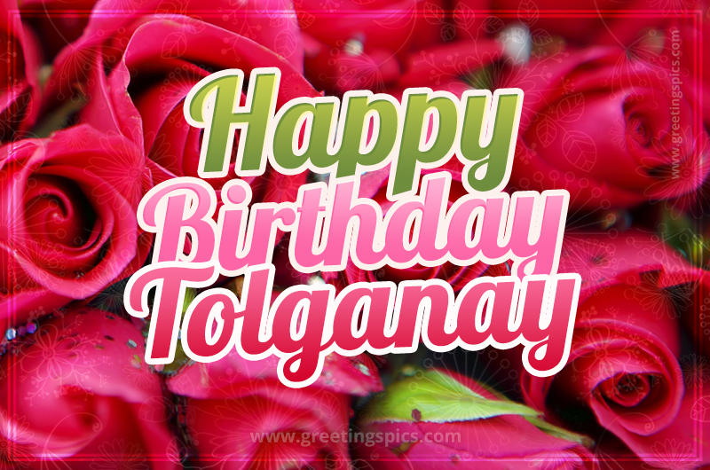 Happy Birthday Tolganay beautiful Image with red roses