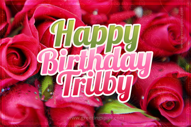 Happy Birthday Trilby beautiful Image with red roses