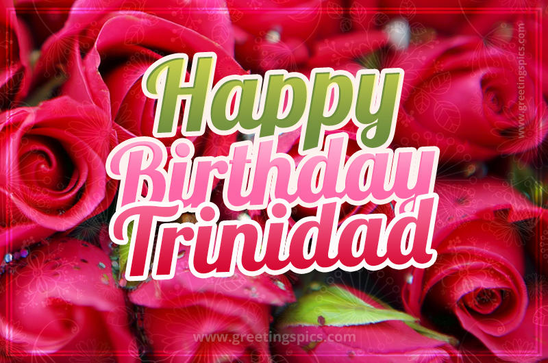 Happy Birthday Trinidad beautiful Image with red roses