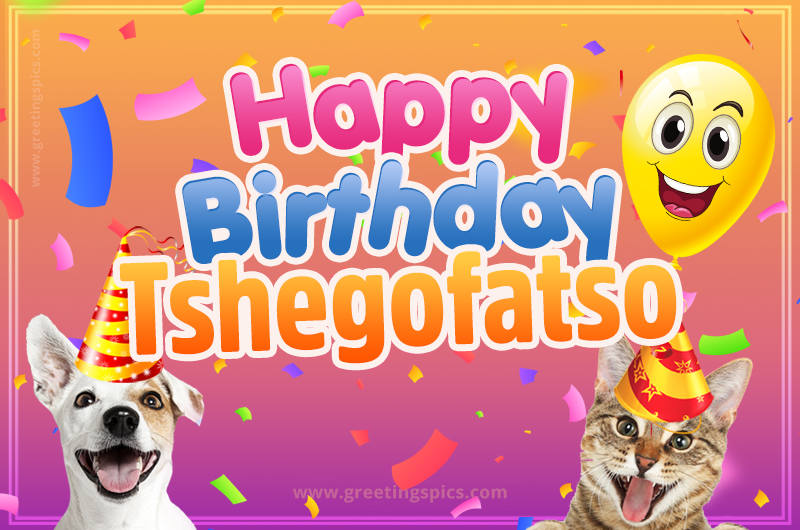 Happy Birthday Tshegofatso Funny Image with cat and dog