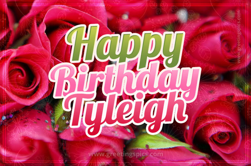 Happy Birthday Tyleigh beautiful Image with red roses