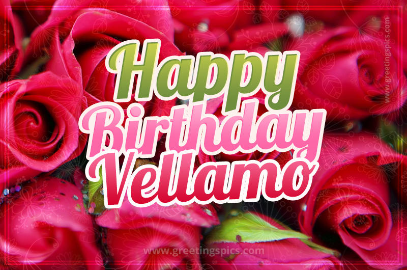 Happy Birthday Vellamo beautiful Image with red roses