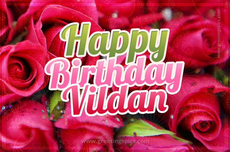 Happy Birthday Vildan beautiful Image with red roses