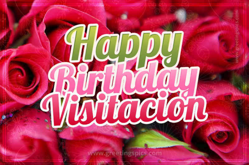 Happy Birthday Visitacion beautiful Image with red roses