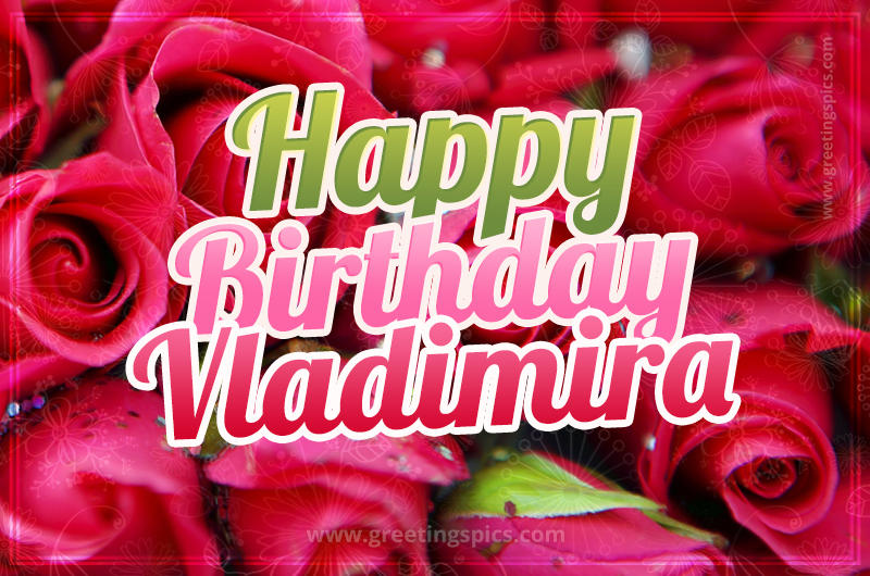 Happy Birthday Vladimira beautiful Image with red roses