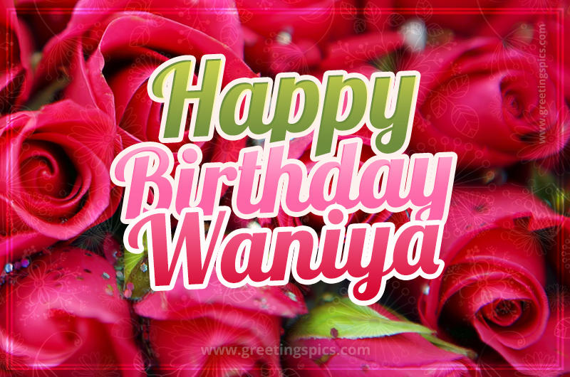 Happy Birthday Waniya beautiful Image with red roses