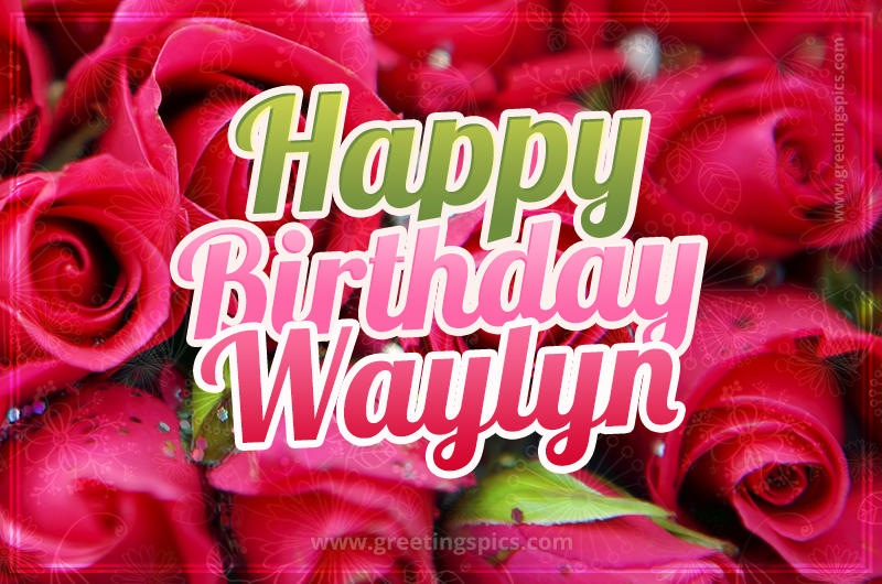 Happy Birthday Waylyn beautiful Image with red roses