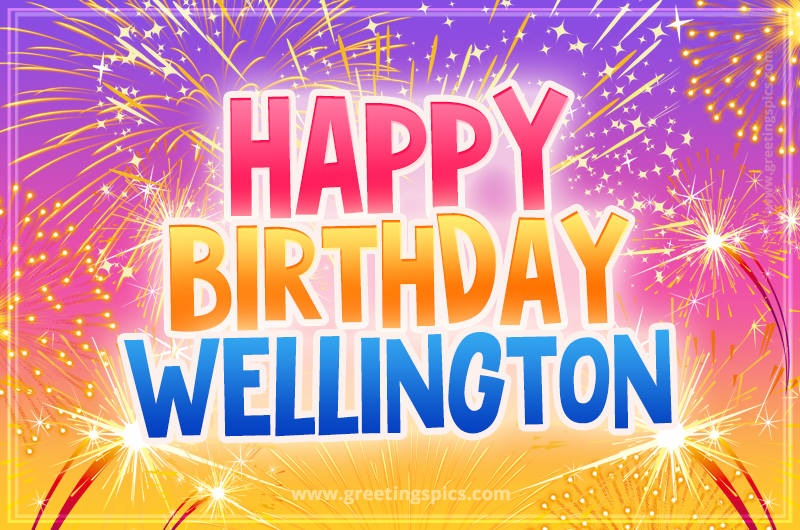 Happy Birthday Wellington Picture with fireworks