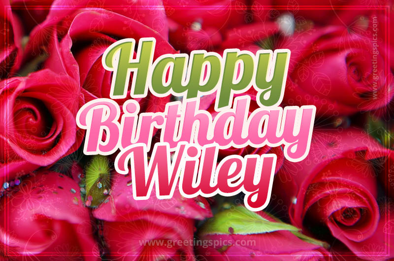 Happy Birthday Wiley beautiful Image with red roses