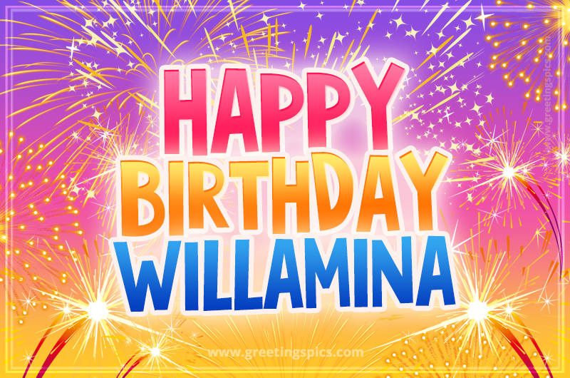 Happy Birthday Willamina Picture with fireworks